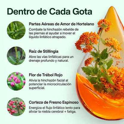 Gotas Naturales para Hinchazón, Retención y Pesadez